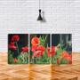 Imagem de Quadro Decorativo 30x66 flor vermelha no campo