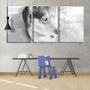 Imagem de Quadro Decorativo 30x66 husky brincando na neve