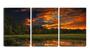 Imagem de Quadro Decorativo 30x66 nuvens rajadas sobre pantanal