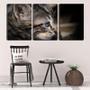 Imagem de Quadro Decorativo 30x66 olhos azuis de gato filhote