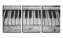 Imagem de Quadro Decorativo 30x66 teclas pb piano retrô