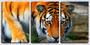 Imagem de Quadro Decorativo 30x66 tigre bebendo água