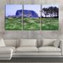 Imagem de Quadro Decorativo 30x66 vista da montanha de pedra