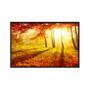 Imagem de Quadro decorativo 40x60cm canvas outono arvores e folhas no parque flnt019