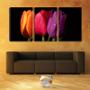 Imagem de Quadro Decorativo 45x96 água em três tulipas coloridas