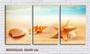 Imagem de Quadro Decorativo 45x96 estrela do mar e conchas na areia
