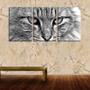 Imagem de Quadro Decorativo 45x96 face de gato peludo pb