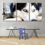 Imagem de Quadro Decorativo 45x96 olhos azuis de husky siberiano