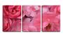 Imagem de Quadro Decorativo 45x96 pétalas misturadas de rosas