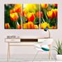 Imagem de Quadro Decorativo 45x96 raios de sol nas tulipas vermelhas