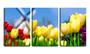 Imagem de Quadro Decorativo 45x96 tulipas amarelas moinho de fundo