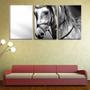 Imagem de Quadro Decorativo 55x110 cavalo branco no cabresto