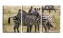 Imagem de Quadro Decorativo 55x110 três zebras na savana