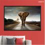 Imagem de Quadro decorativo 60x80cm canvas elefante na estrada anm016