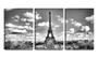 Imagem de Quadro Decorativo 68x126 carros sob torre Eiffel pb