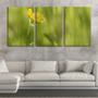 Imagem de Quadro Decorativo 68x126 pequena flor solitária