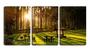 Imagem de Quadro Decorativo 80x140 bancos de madeira no bosque