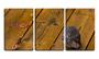 Imagem de Quadro Decorativo 80x140 coruja no chão de tábuas