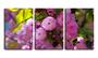 Imagem de Quadro Decorativo 80x140 flores pregadas no caule