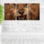 Imagem de Quadro Decorativo 80x140 leão feroz dentes a mostra