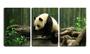 Imagem de Quadro Decorativo 80x140 urso panda na floresta