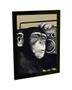 Imagem de Quadro Decorativo A4 Macaco Chimpanzé Ouvindo Musica Decoração