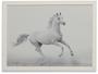 Imagem de Quadro Decorativo All White Cavalo 35x47cm
