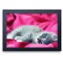 Imagem de Quadro Decorativo Animais 46 Gatinho MDF 30x20cm