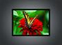 Imagem de Quadro Decorativo Animais Borboleta Flor Cores Paisagem Natureza Com Moldura RC102