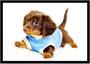 Imagem de Quadro Decorativo Animais Cachorro Basset Veterinário Pet Shop Cão Com Moldura RC005