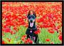 Imagem de Quadro Decorativo Animais Cachorro Doberman Pinscher Flores Veterinário Pet Shop Com Moldura RC125