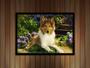 Imagem de Quadro Decorativo Animais Cachorro Pastor Shetland Veterinário Pet Shop Natureza Com Moldura RC132