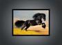 Imagem de Quadro Decorativo Animais Cavalo Corcel Negro Veterinário Pet Shop Natureza Com Moldura RC159