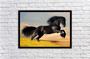 Imagem de Quadro Decorativo Animais Cavalo Corcel Negro Veterinário Pet Shop Natureza Com Moldura RC159