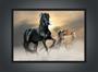 Imagem de Quadro Decorativo Animais Cavalos Com Moldura Salas Decorações