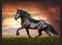 Imagem de Quadro Decorativo Animais Cavalos Petshop Decoração Com Moldura