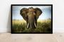 Imagem de Quadro Decorativo Animais Elefante Paisagem Natureza Veterinário Pet Shop Com Moldura RC111