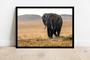 Imagem de Quadro Decorativo Animais Elefante Paisagem Natureza Veterinário Pet Shop Com Moldura RC113