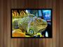 Imagem de Quadro Decorativo Animais Iguana Veterinário Pet Shop Paisagem Natureza Com Moldura RC101