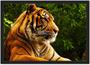 Imagem de Quadro Decorativo Animais Tigre Decoração Com Moldura