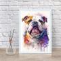 Imagem de Quadro Decorativo Aquarela Bulldog Inglês 45X34Cm - Vidro