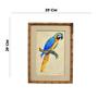 Imagem de Quadro Decorativo Arara Azul Amarelo com Bege 29x39cm