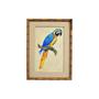 Imagem de Quadro Decorativo Arara Azul Amarelo com Bege 29x39cm