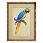 Imagem de Quadro Decorativo Arara Azul Amarelo com Bege 29x39cm