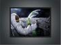 Imagem de Quadro Decorativo Astronauta Lua Cerveja Espaço Com Moldura