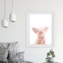 Imagem de Quadro Decorativo Baby Pig - 60X48Cm