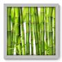 Imagem de Quadro Decorativo - Bambu - 33cm x 33cm - 009qndbb