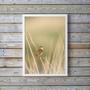 Imagem de Quadro Decorativo Bege Passarinho Natureza 45X34Cm - Vidro