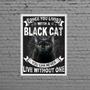 Imagem de Quadro Decorativo Black Cat 45x34cm - com vidro