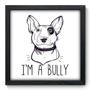 Imagem de Quadro Decorativo - Bully - 33cm x 33cm - 135qdsp